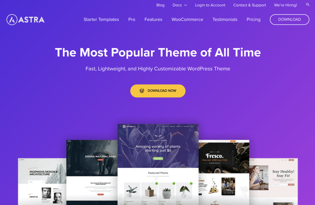 Astra_WordPress Themes for Personal Websites